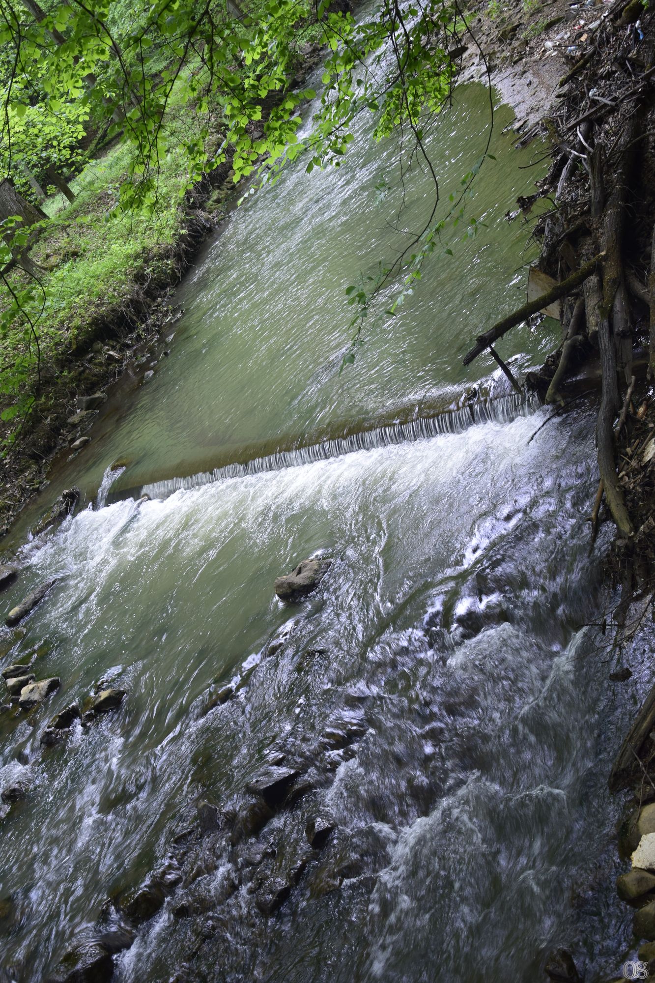 Sciezka Hochbergow 42.jpg